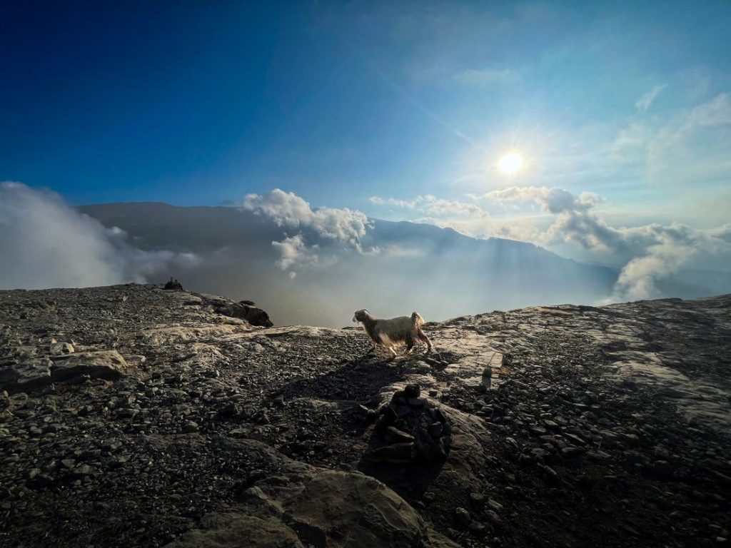 Jabal Shams & Akhdar