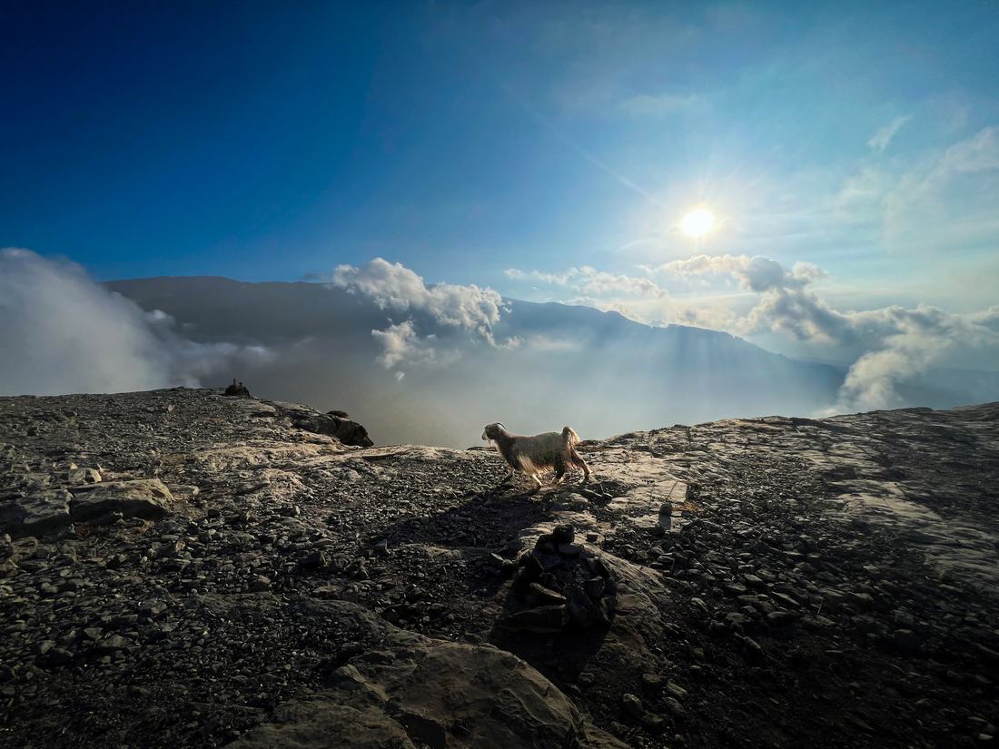 Jabal Shams & Akhdar