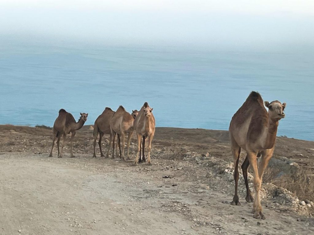 Musandam