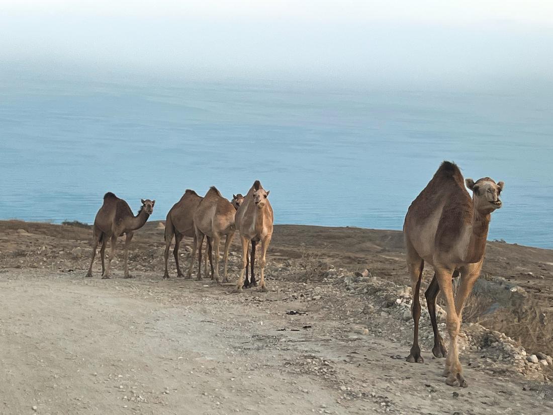 Musandam